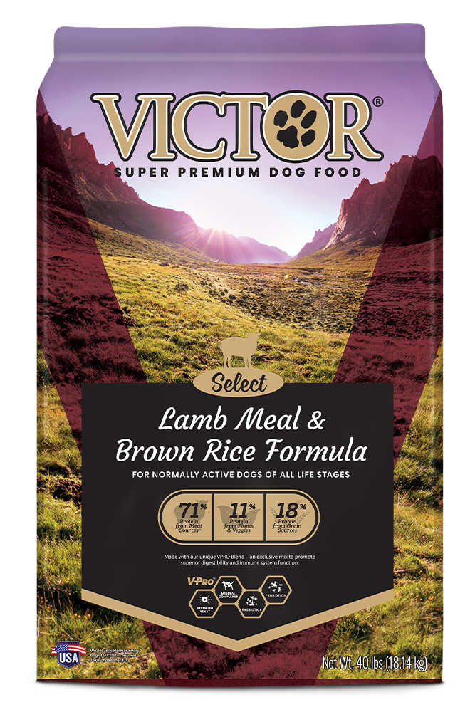 42965-1680817102