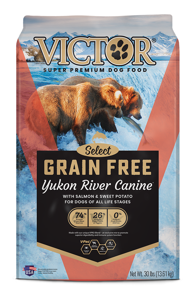 42984-1680809099