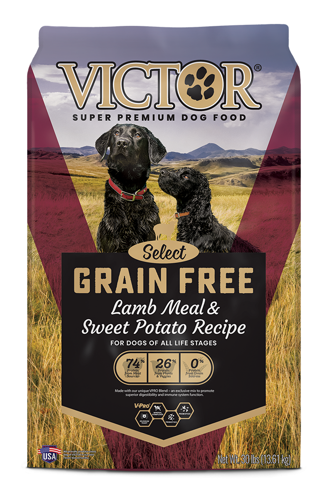 43000-1680816769