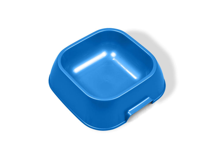 C3_dish-1536x1152-1