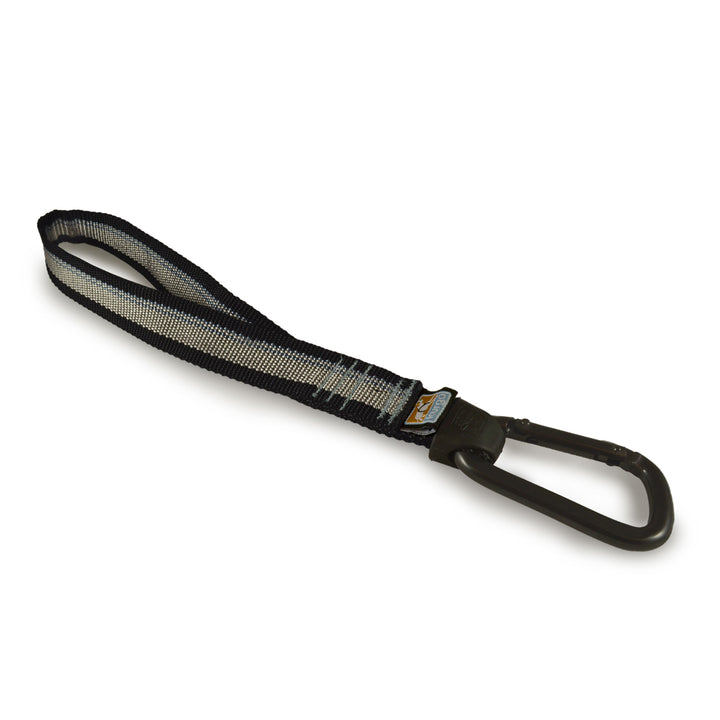 K01187_MAIN