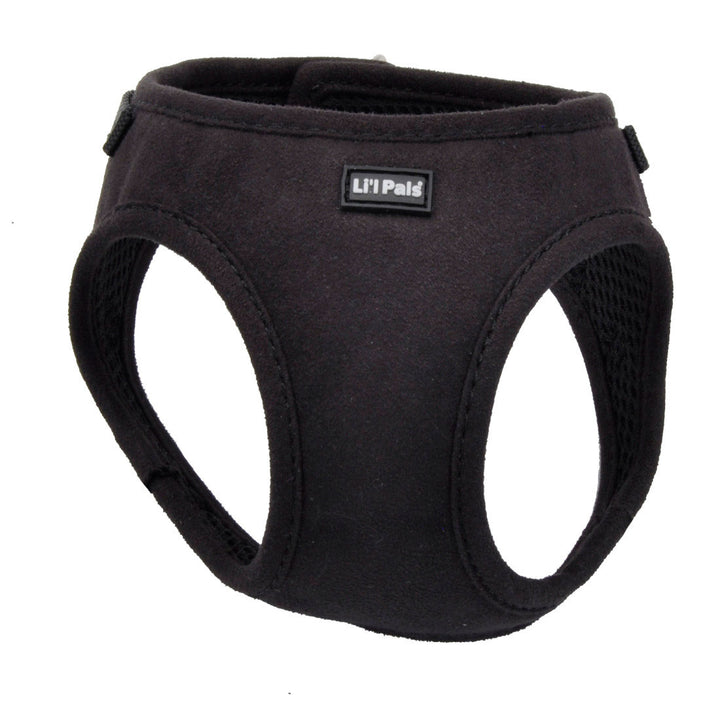 evk9zfdpwry4qpkwzxjg