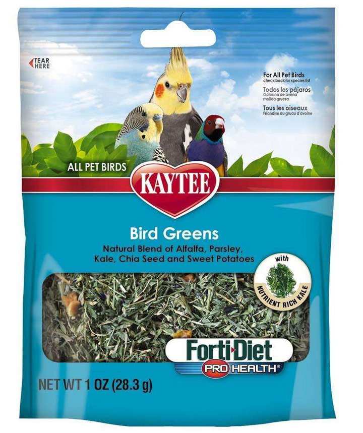 kayteebirdgreen